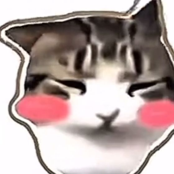 마음대로 대표 이미지