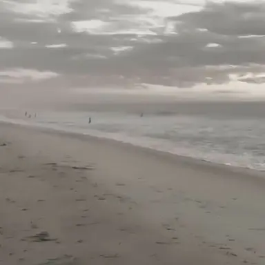 Profile image of ヒロ