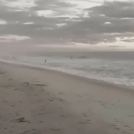 sui_Mimi_333의 君のこと、大好きでした