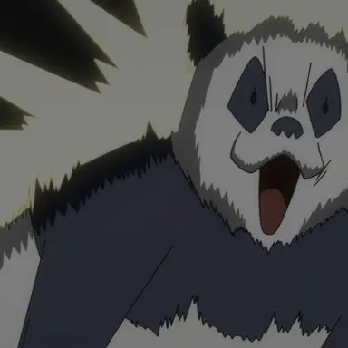 Profile image of 판다