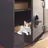 냐냥이