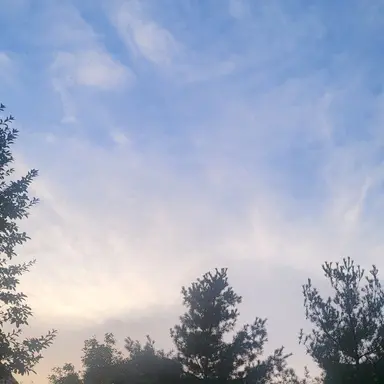 Profile image of 남동생