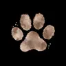 Profile image of Dog