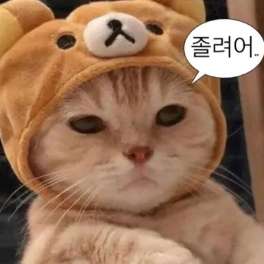 Profile image of 장엄지