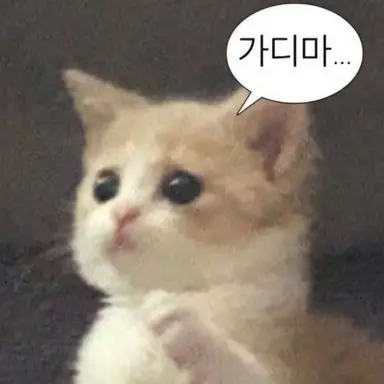 Profile image of 이필요