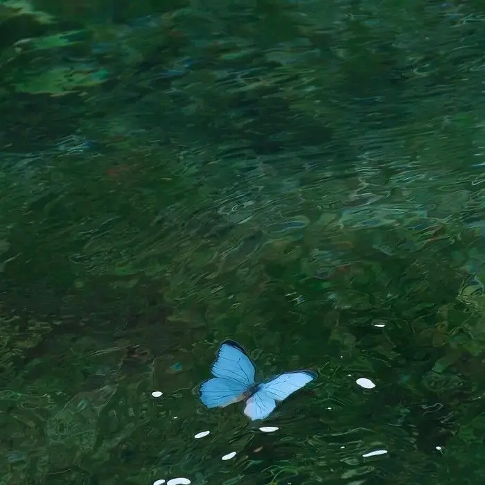 SpryBass4423의 채형원