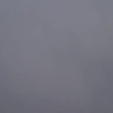 Profile image of 권지용