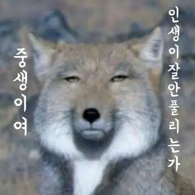 Profile image of 서컬쓰단