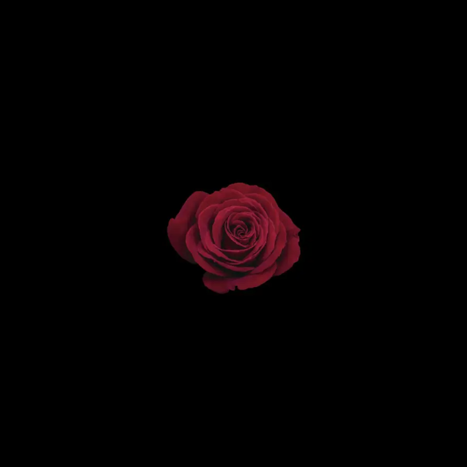 Mr_mR의 ••-• -, ······