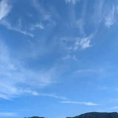Profile image of みな