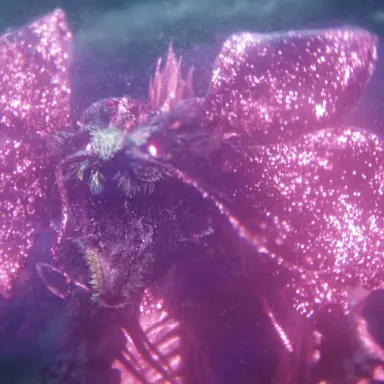 Profile image of Tiamat