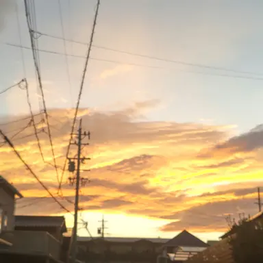 Profile image of 誠也