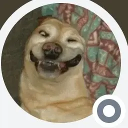 Profile image of 황바오
