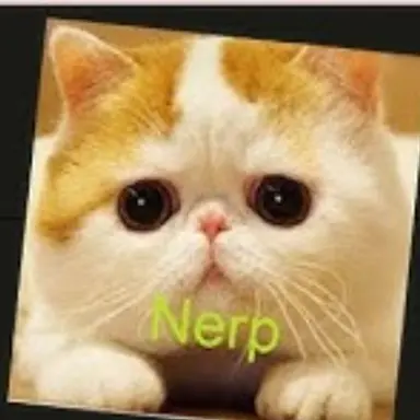 Profile image of 너프