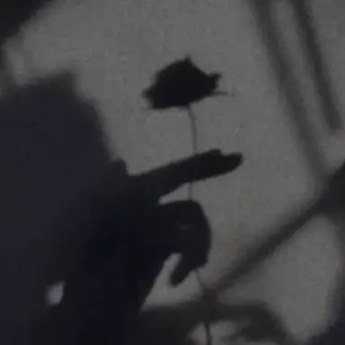 Profile image of 目黒蓮