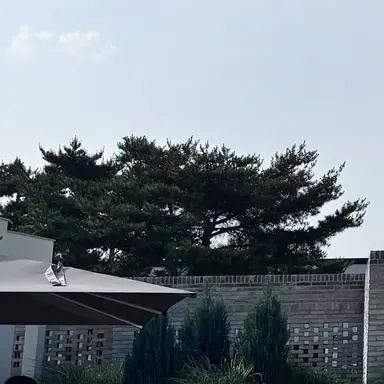 Profile image of Gabriel Chapman