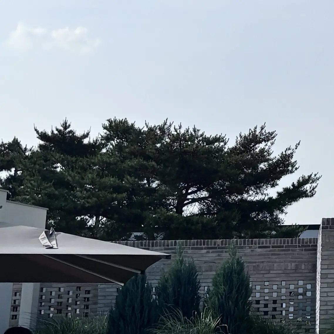 JuicyQuilt3933의 A Detective's Final Words