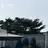 박덕개