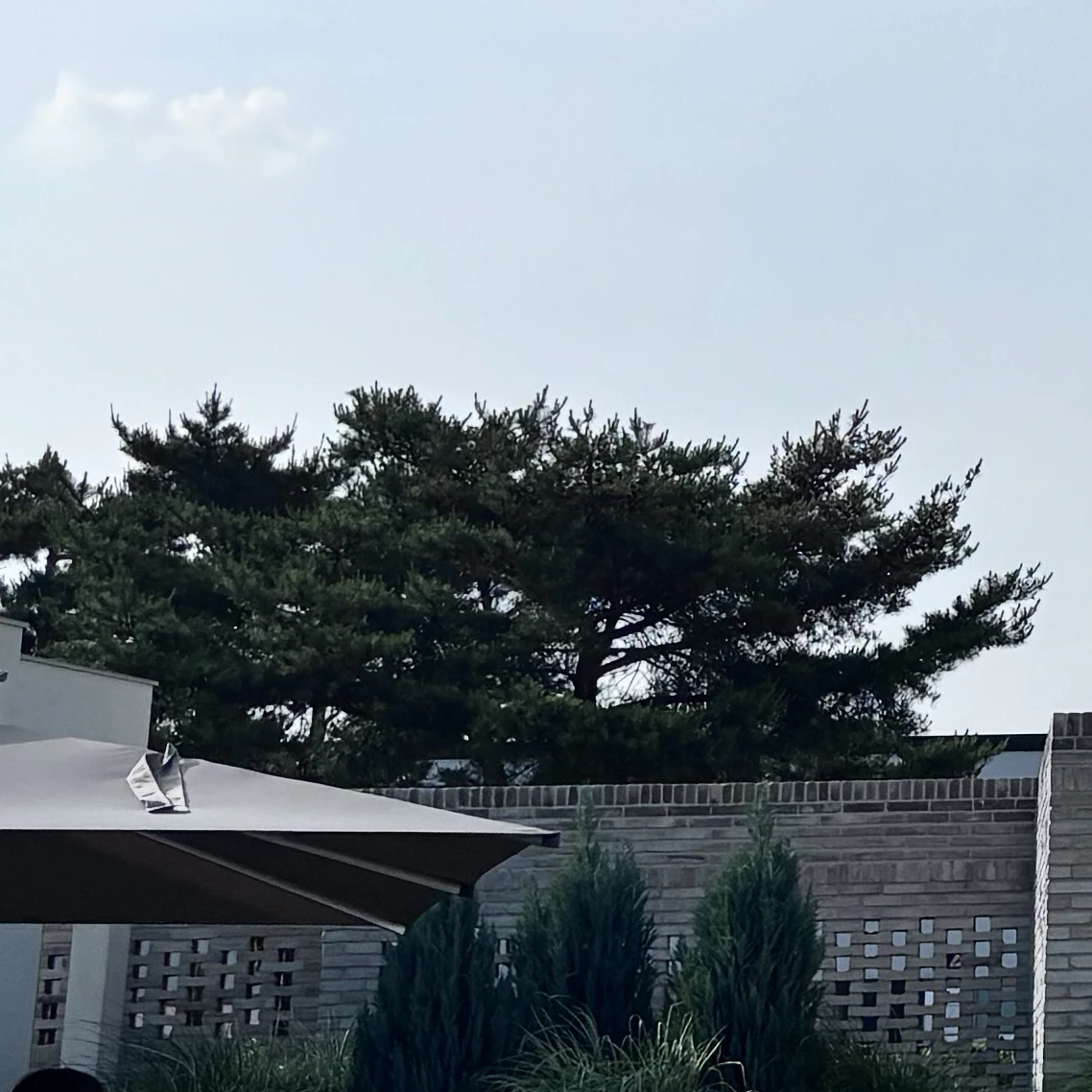 박덕개