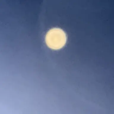 Profile image of 파이브