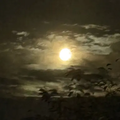 Profile image of 수연