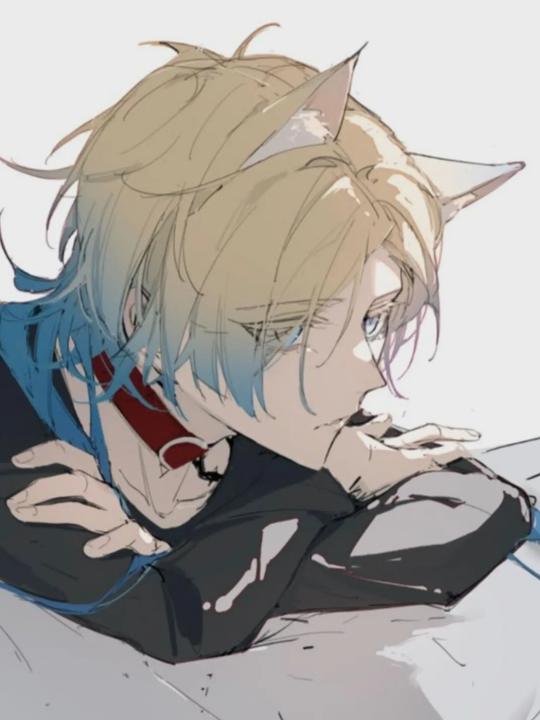 DryCrew4500의 飼い猫が擬人化?!