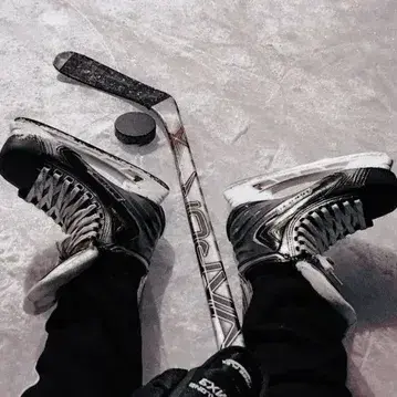SavoryBatik6291의 Liam the Hockey Player