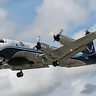 Profile image of P3オライオン