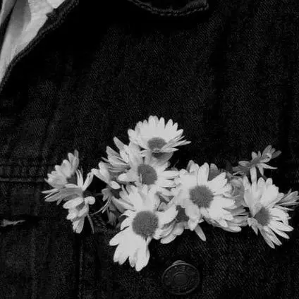 DecentCache5830의 나비