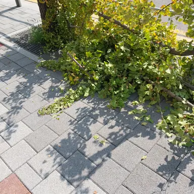 Profile image of 승려