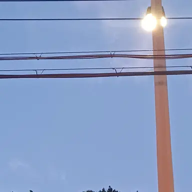 Profile image of 현수진