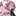 샬럿 샬럿