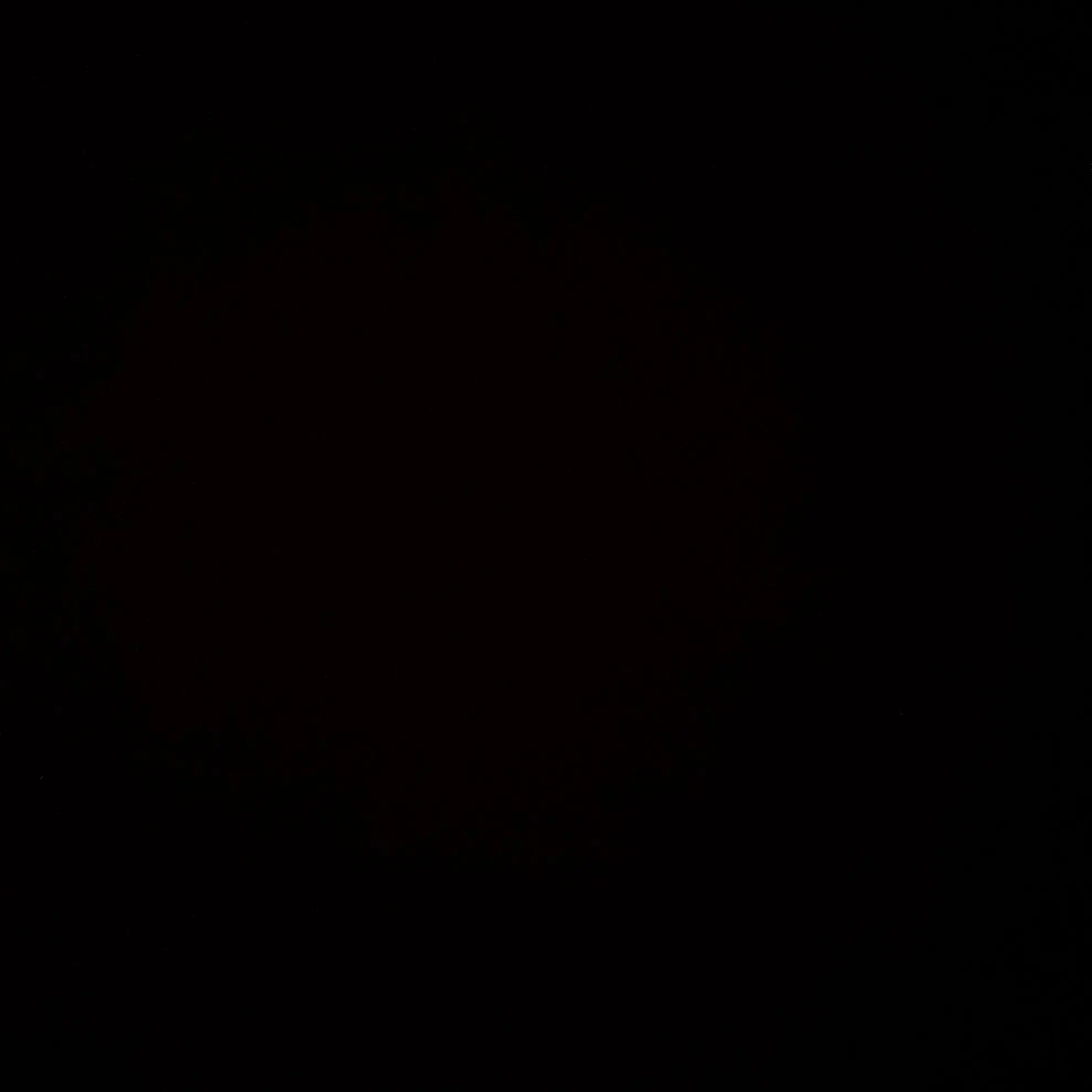 RealCotton0746의 EXO-조직