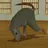 rat
