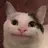 고양이