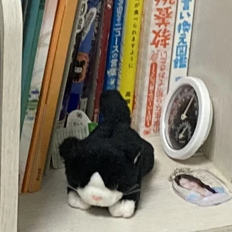 ヨンファ