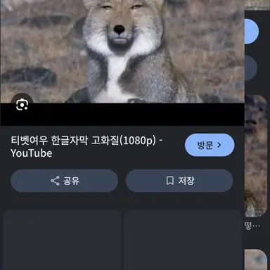 Profile image of 늑대