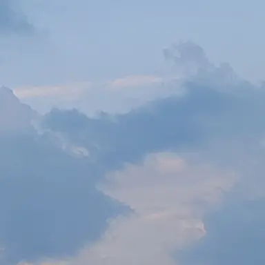 Profile image of 잠뜰