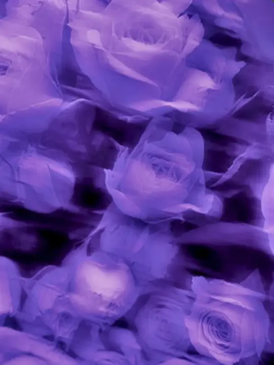 Spica____o0의 劣等生