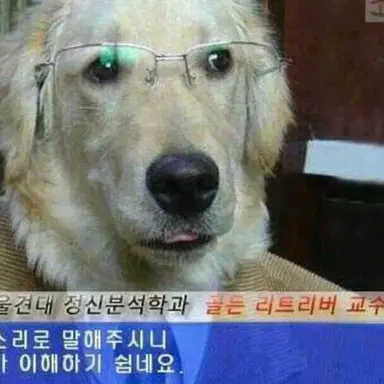 Profile image of 쌤