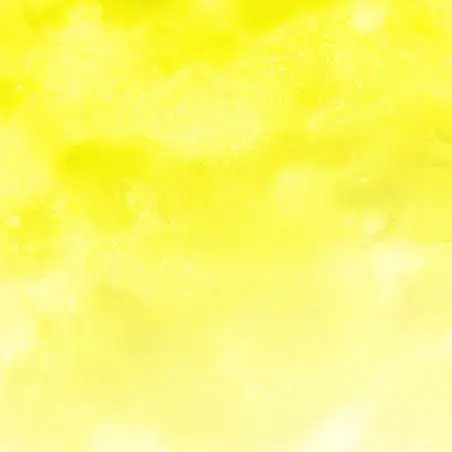 SnowyGecko4842의 塩レモン