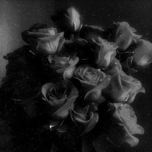 BLOVE_의 라헬리안