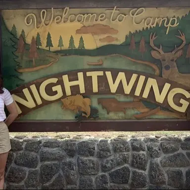 Profile image of night wing