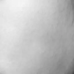 Profile image of 권지용