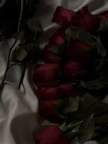 SFS_486의 튤립 🌷