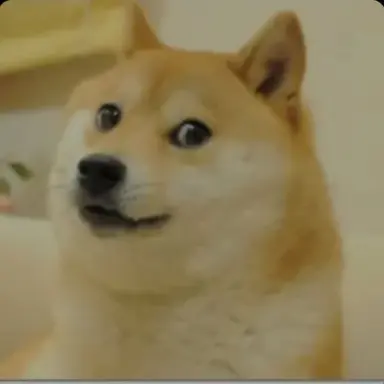 Profile image of Meongmungi