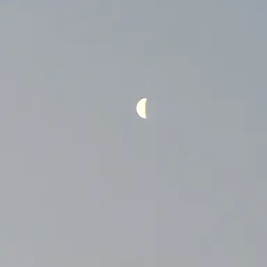 Profile image of 선생님