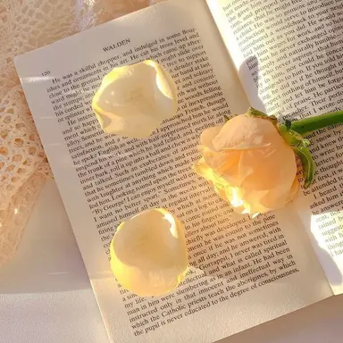 Profile image of 김일영