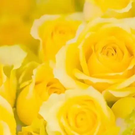 RUMI-_-NOA의 能力者の　せかィ　。