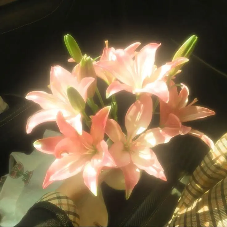 WhiteQueen0000의 셀레나